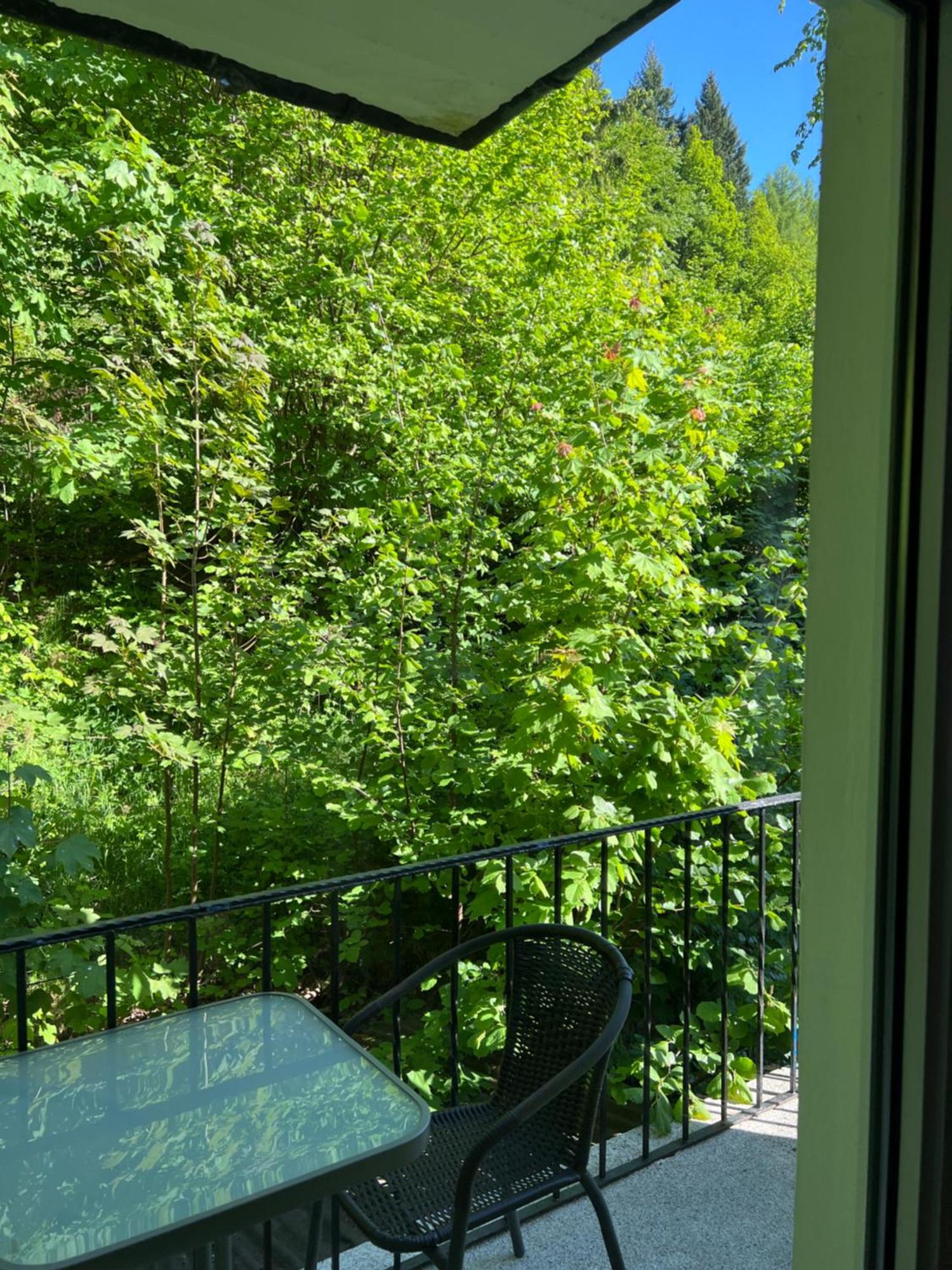 Pension Villa Pangea Бад-Лаутерберг Экстерьер фото